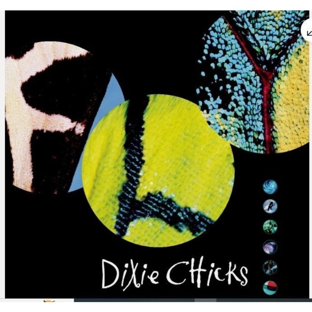 Fly by The Chicks (CD, 1999) disk only
